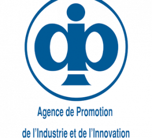 Logo_APII.2e16d0ba.fill-341x308